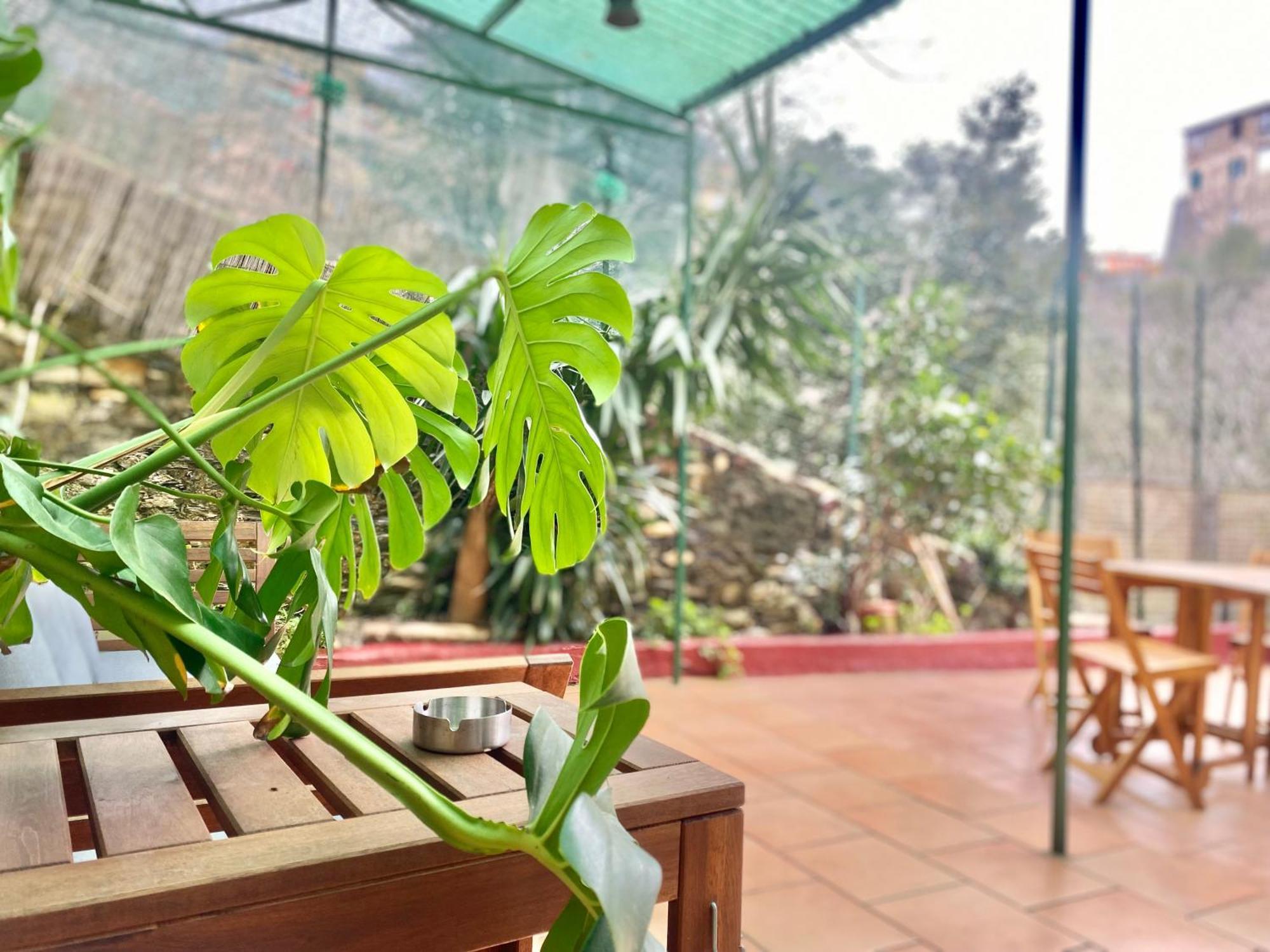 Апартаменти Casaviva - Bilo With Patio In Genova San Teodoro Екстер'єр фото